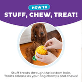 Planet Dog Dental Pineapple – Ansicht 5