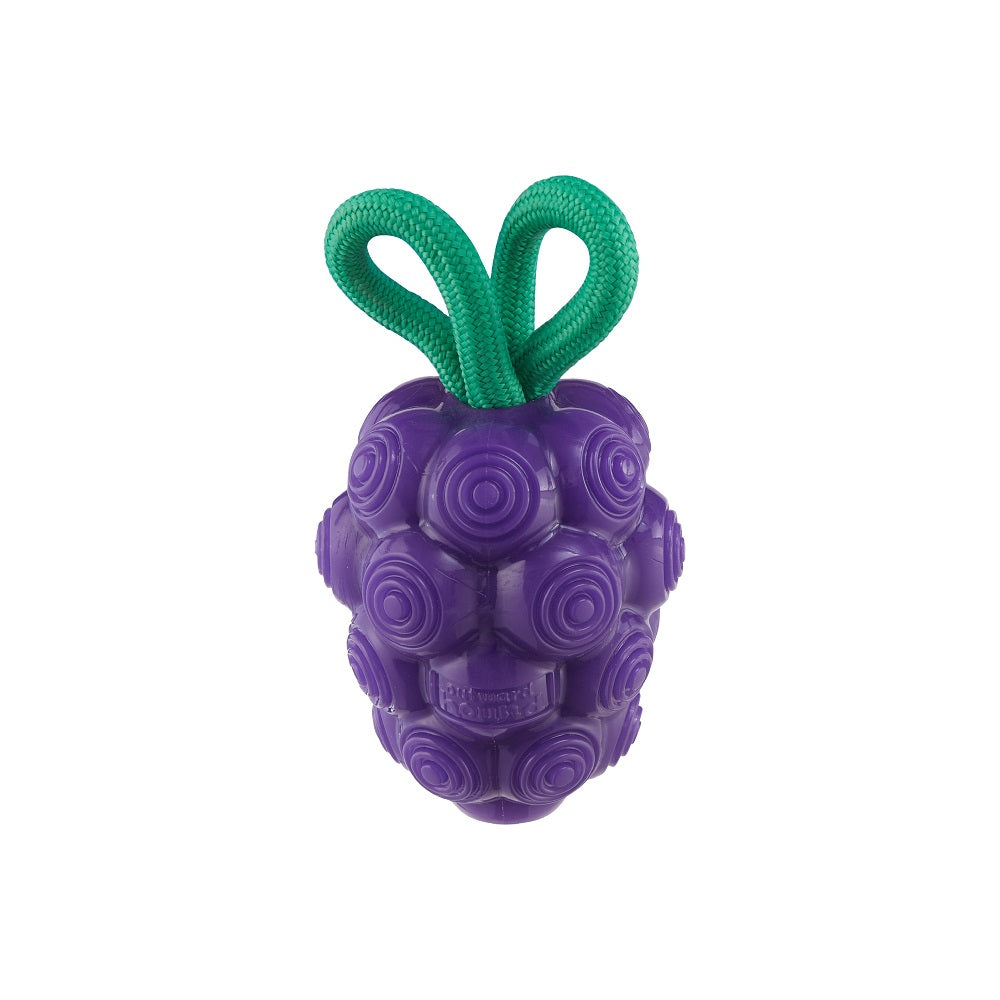 Planet Dog Dental Grapes Zahnpflege-Hundespielzeug