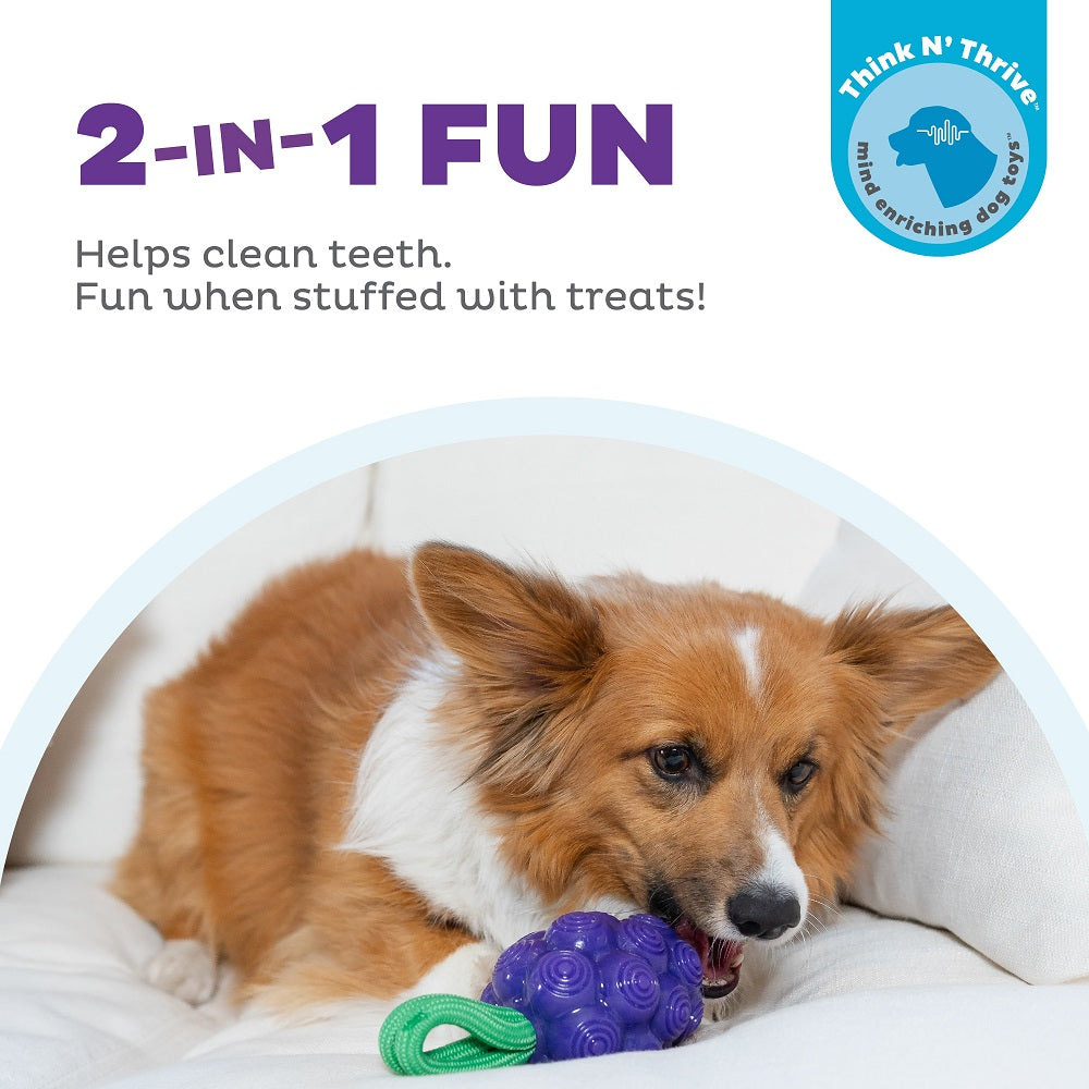 Planet Dog Dental Grapes – Ansicht 2