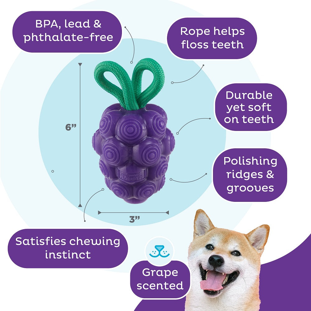 Planet Dog Dental Grapes – Ansicht 3