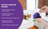 Planet Dog Dental Grapes – Ansicht 5