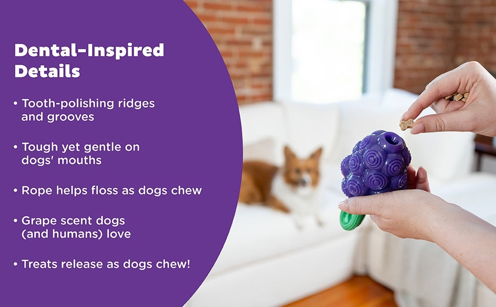 Planet Dog Dental Grapes – Ansicht 5