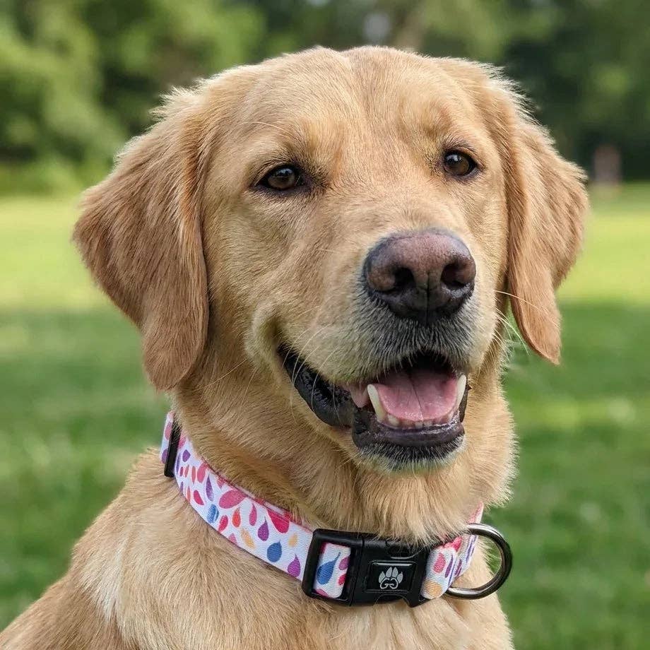 Hundehalsband Blütenblätter von Goofy Goldens – Ansicht 2