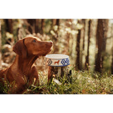 Hundenapf Vizsla von Michael Platin Design, handbemalte Keramik mit Goldrand