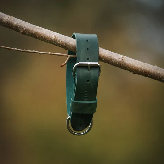 Breites Lederhalsband in Grün von Cooper &amp; Quint