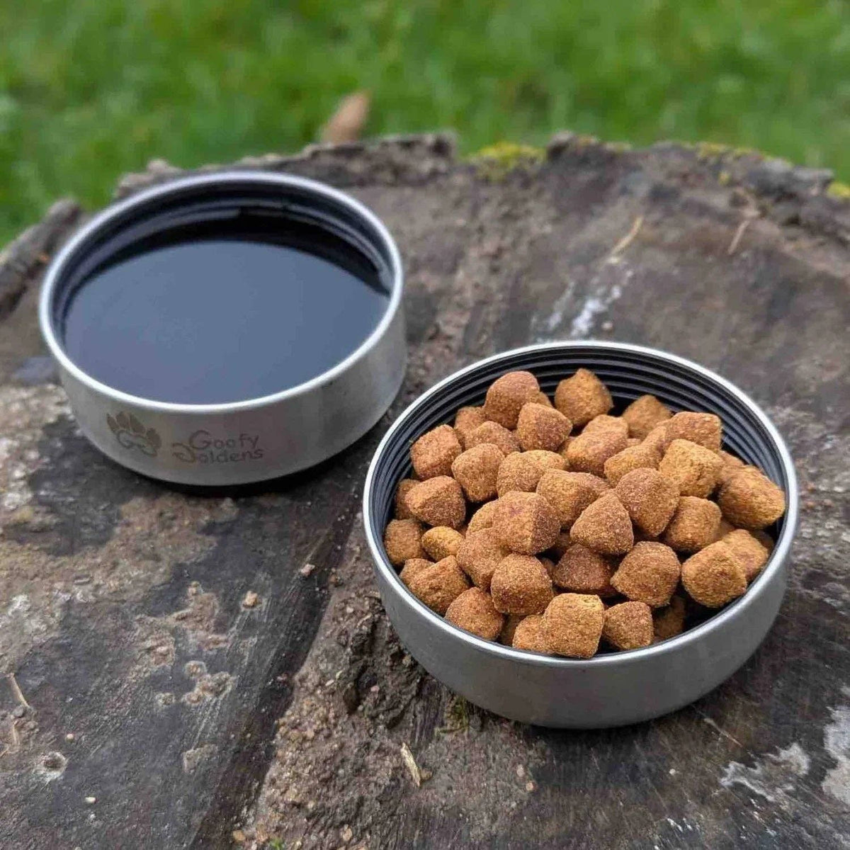 Trinkflasche für Hunde 1 L im Riff-Muster von Goofy Goldens – Ansicht 9