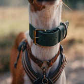 Breites Lederhalsband in Grün von Cooper & Quint