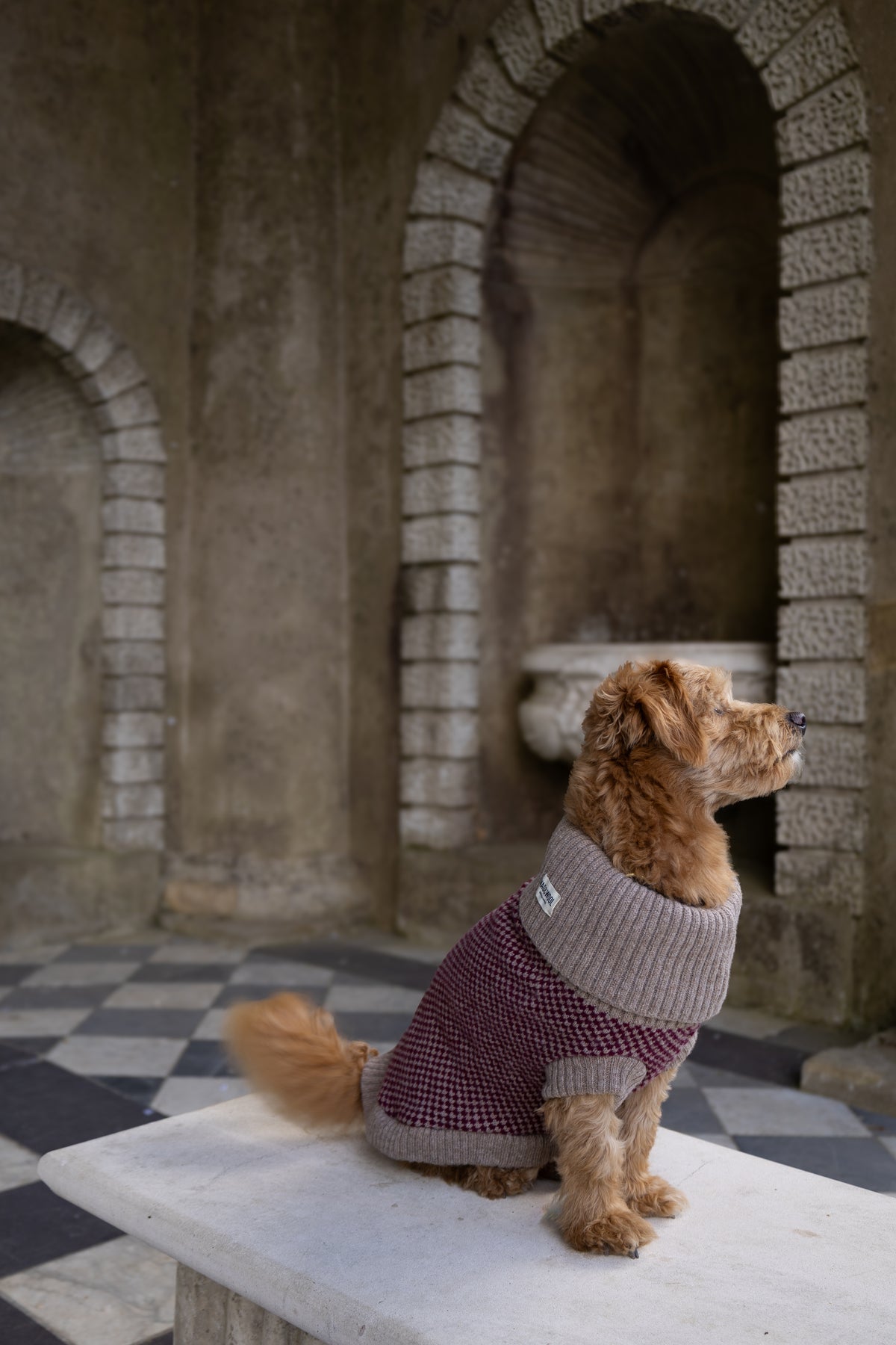 Hundepullover Merino-Lammwolle - Burgundy Karo