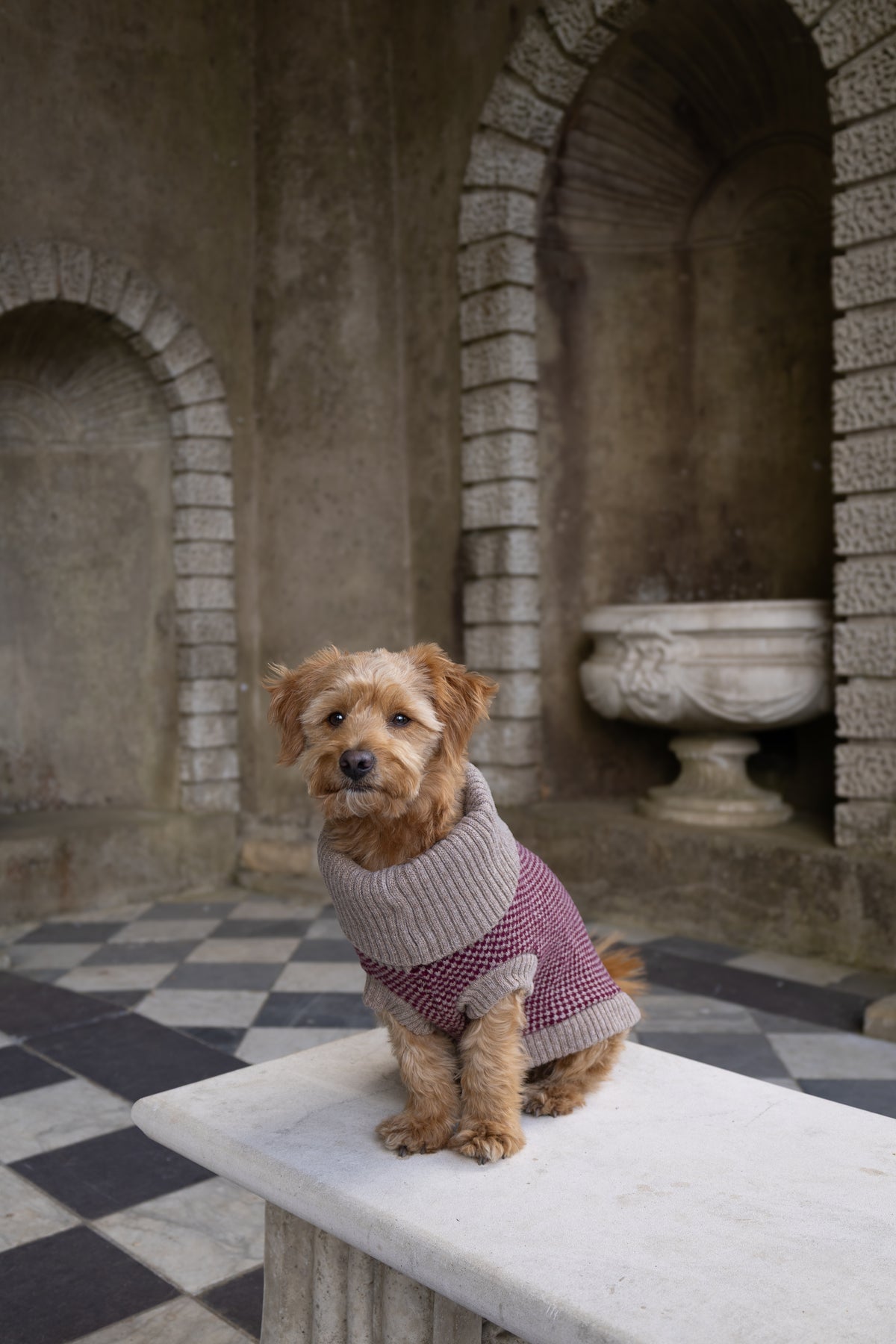 Schal Merino-Lammwolle - Burgundy