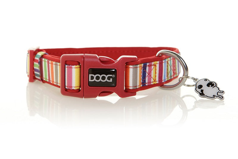 DOOG Neopren Hundehalsband Scooby Multicolor gestreift