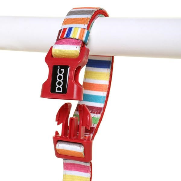 DOOG Clip-It Hundeleine Scooby Multicolor gestreift