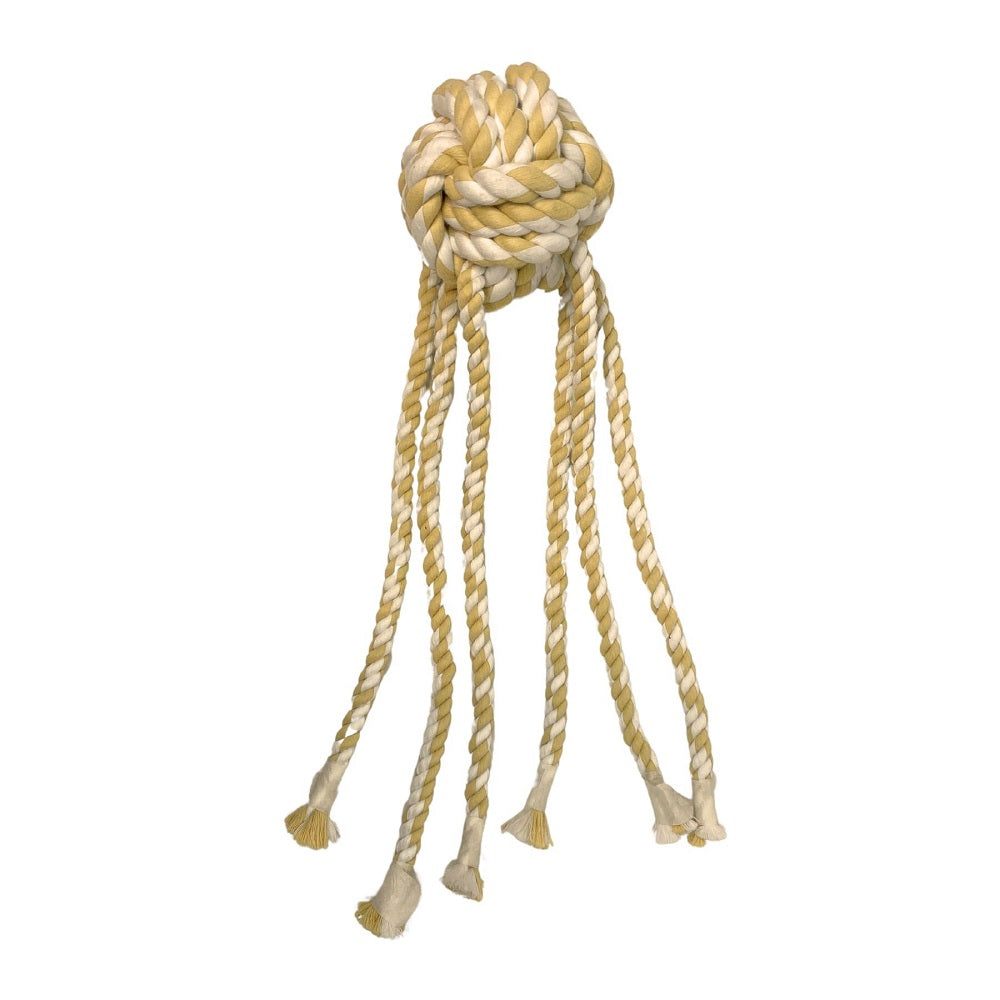 Calamaro Squid – Ansicht 5