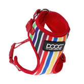 DOOG Neoflex Hundegeschirr Scooby Multicolor gestreift