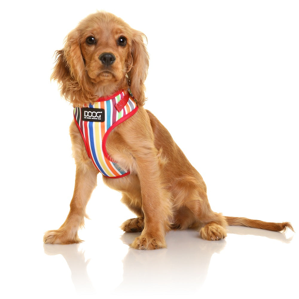 DOOG Neoflex Hundegeschirr Scooby – Ansicht 2