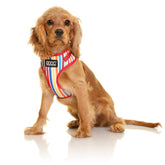 DOOG Neoflex Hundegeschirr Scooby – Ansicht 2