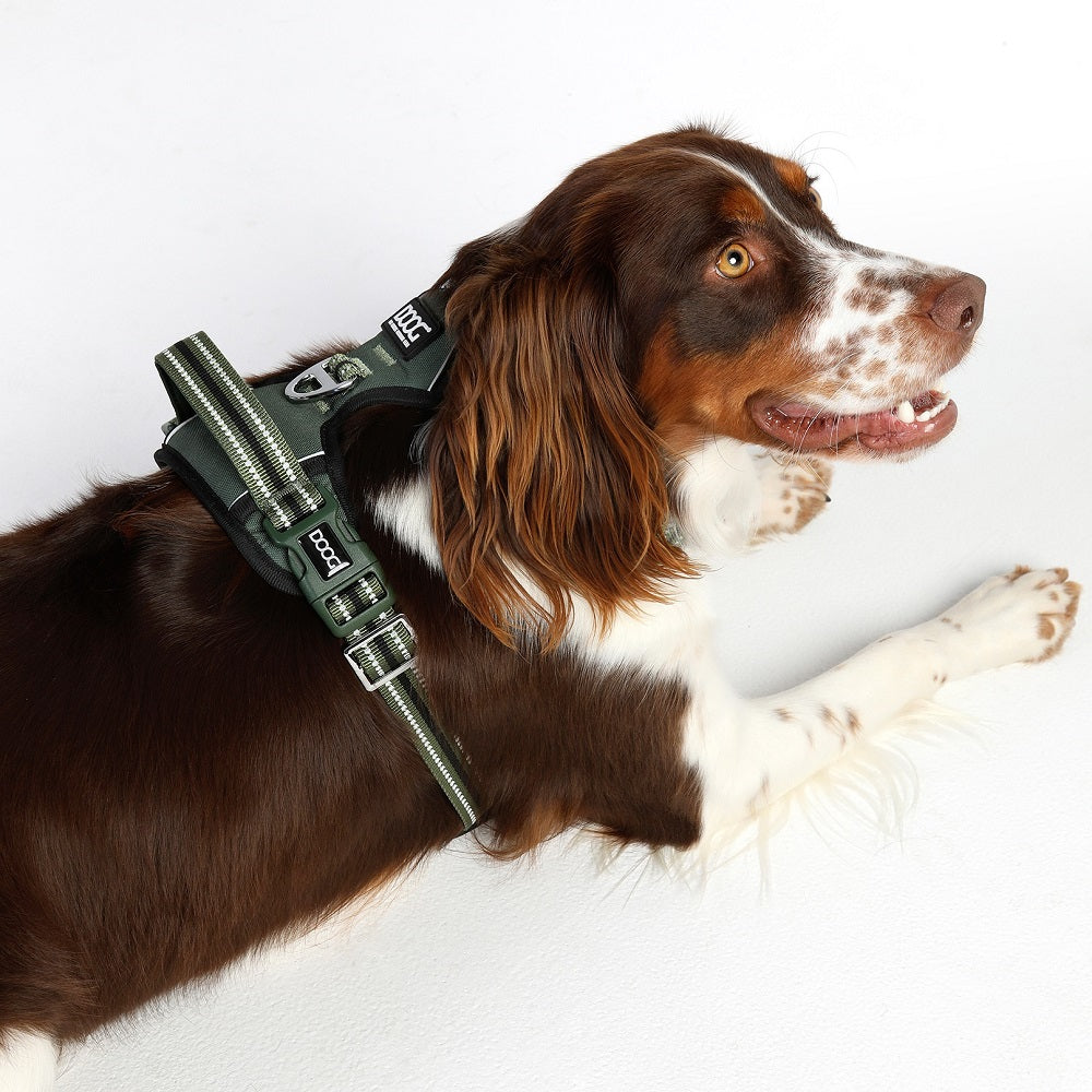 DOOG Neotech Hundegeschirr - Grün