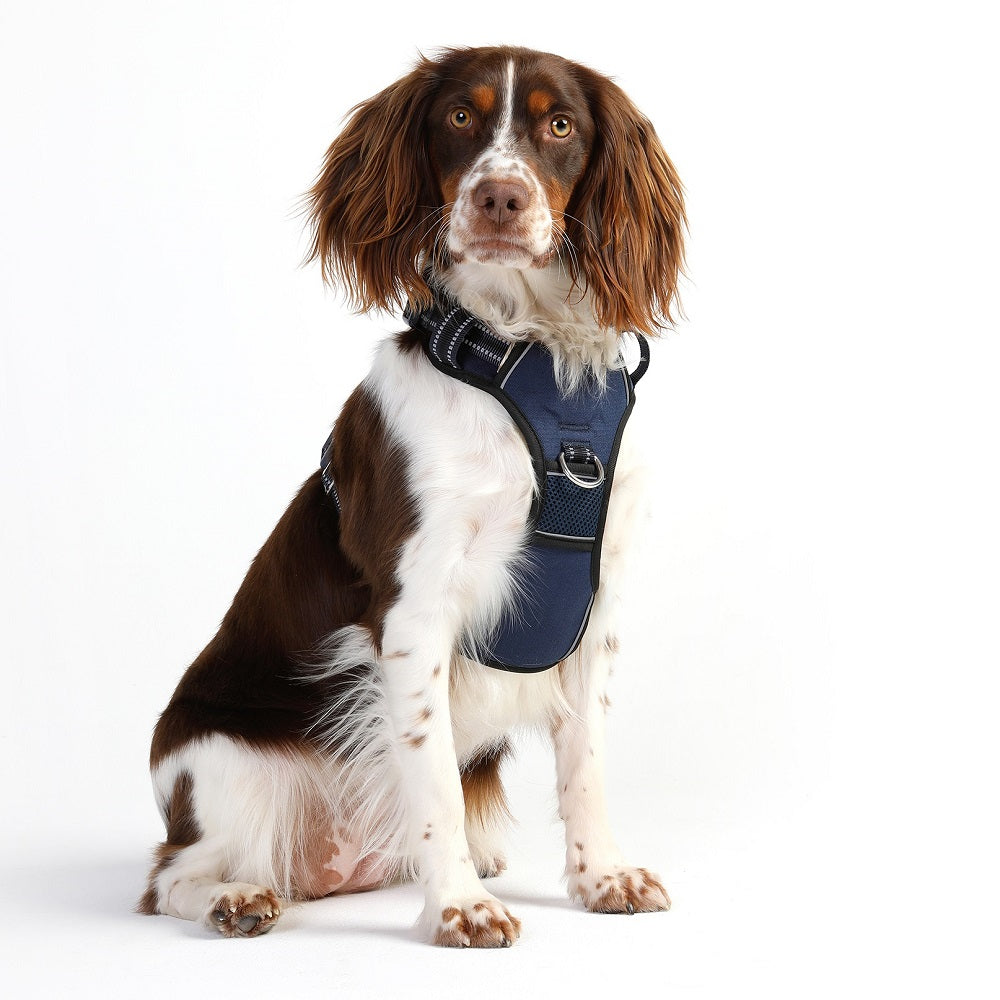 DOOG Neotech Hundegeschirr - Navy