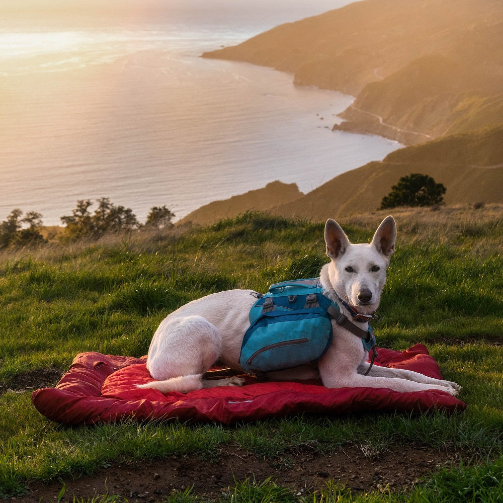 Kurgo Loft Wander Outdoor-Hundebett - Rot