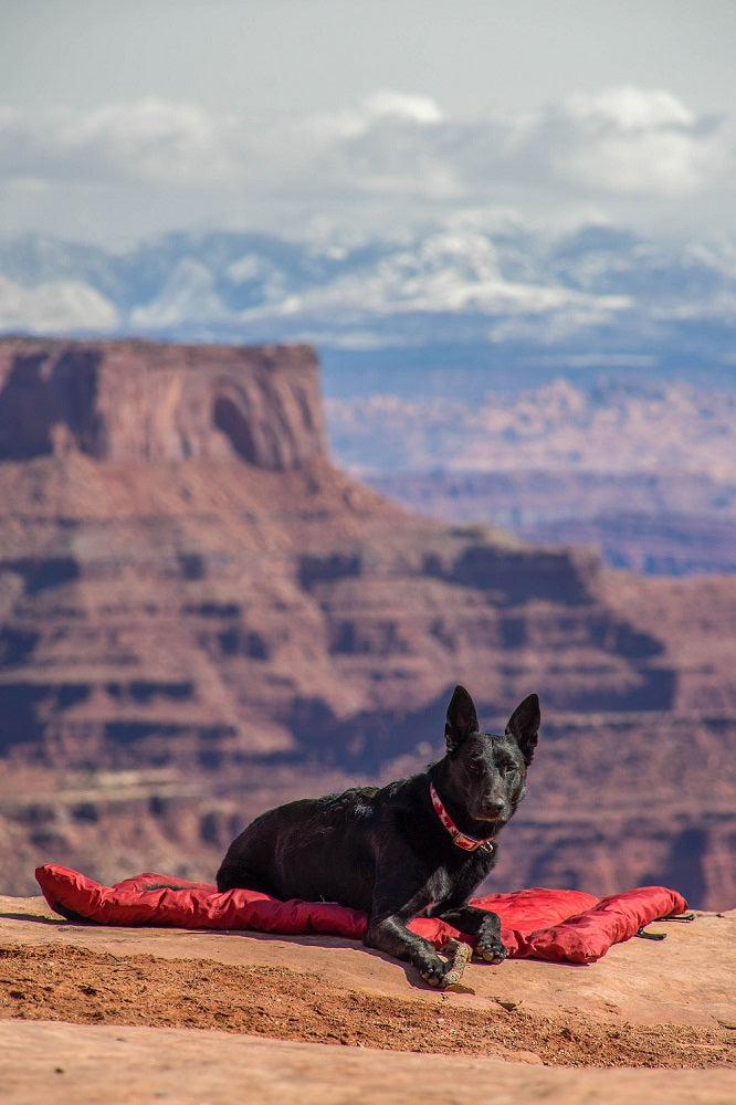 Kurgo Loft Wander Outdoor-Hundebett - Rot