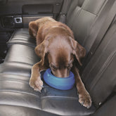 Kurgo Wander Water Bowl – Ansicht 9