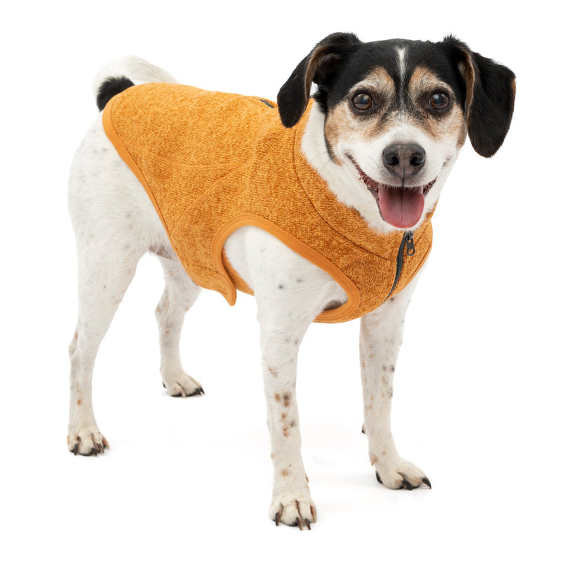 Kurgo Core Hundepullover Orange