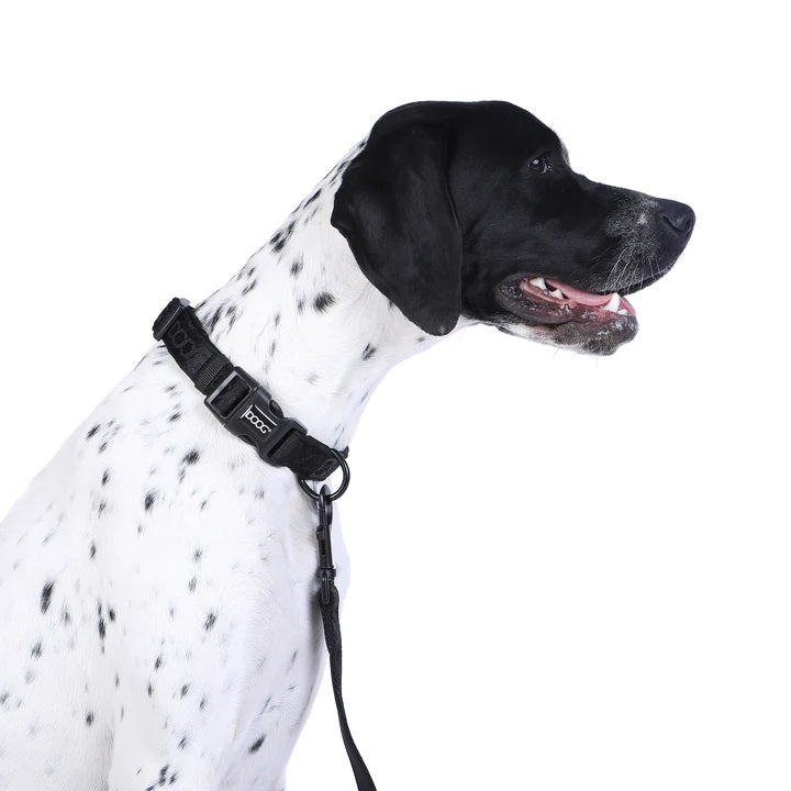 DOOG Neosport Halsband - Schwarz