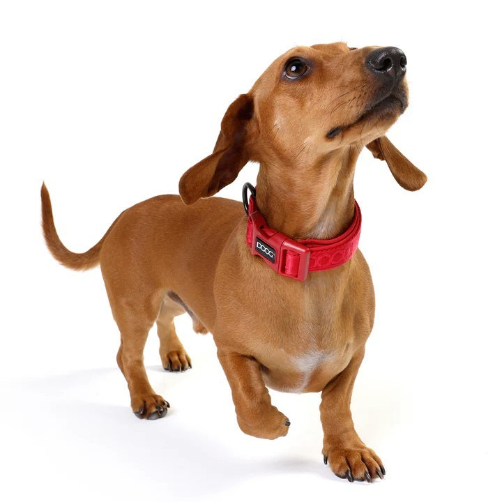DOOG Neosport Halsband - Rot