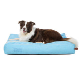 DoggySiësta Strong Blau – Ansicht 2
