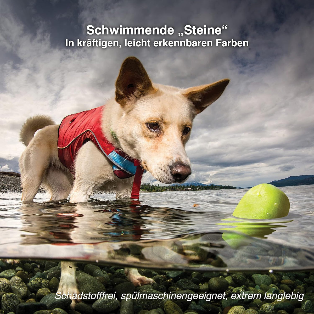Kurgo Skipping Stones – Ansicht 4