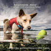 Kurgo Skipping Stones – Ansicht 4