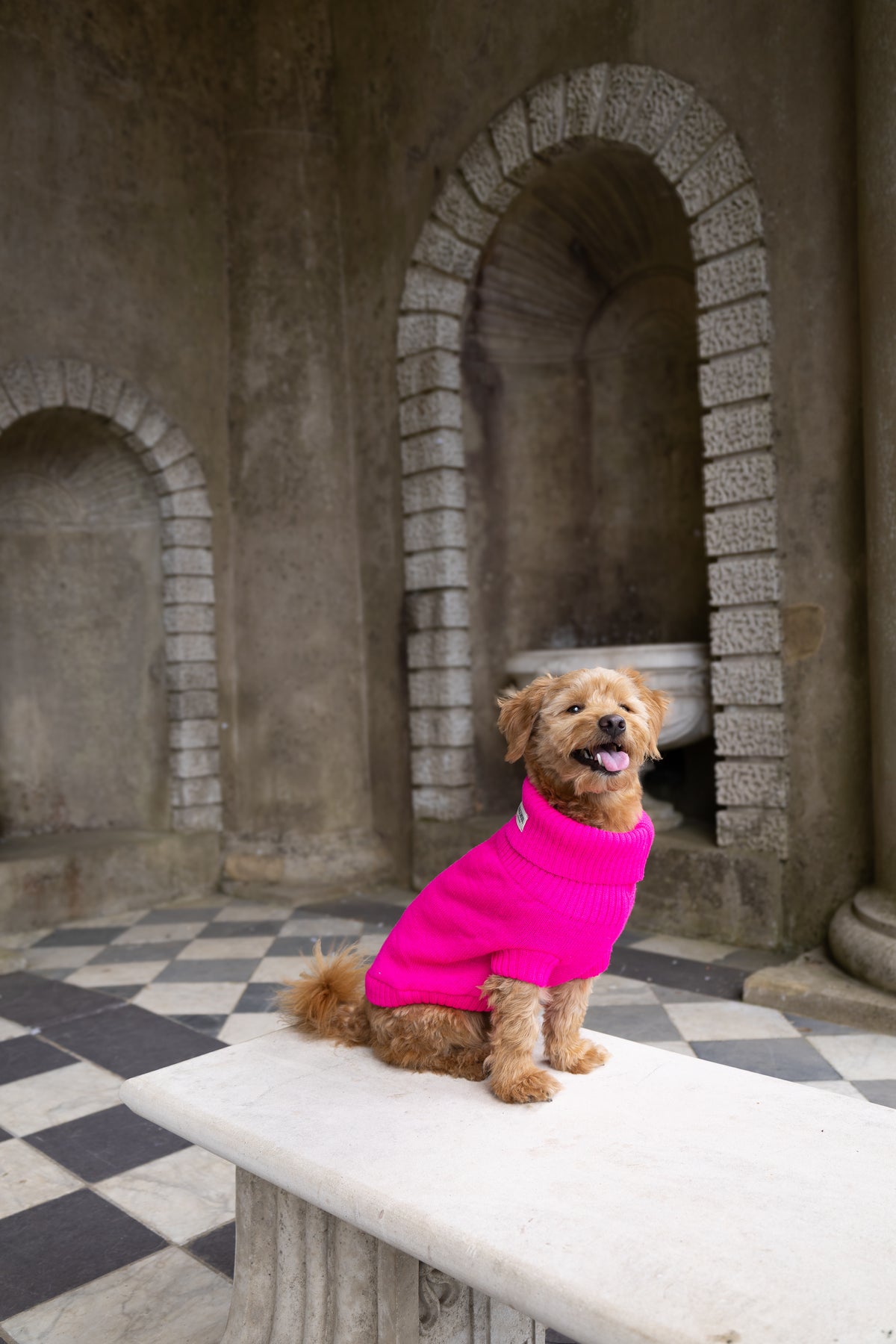 Hundepullover Britische Wolle - Fandango Pink