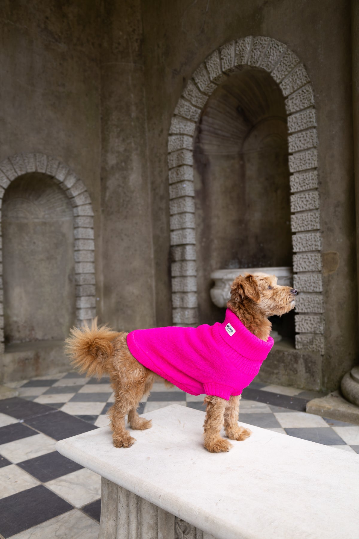 Hundepullover Britische Wolle - Fandango Pink