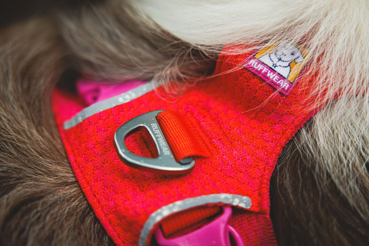 Ruffwear Front Range Flex Geschirr - Rose Violet