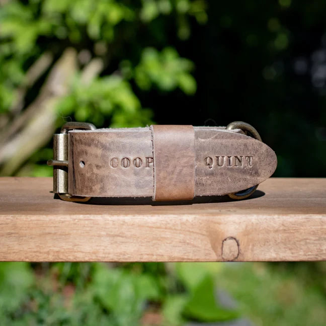 Breites Lederhalsband in Taupe von Cooper &amp; Quint