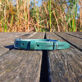 Lederhalsband in Grün von Cooper & Quint