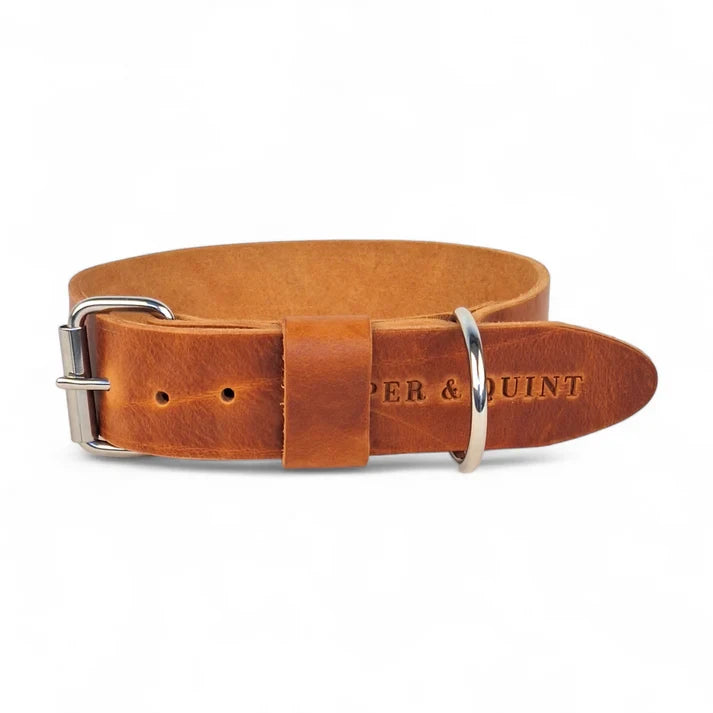 Breites Lederhalsband in Cognac von Cooper &amp; Quint