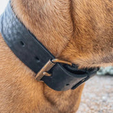 Breites Lederhalsband in Schwarz von Cooper & Quint