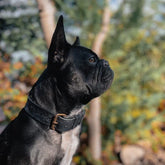 Breites Lederhalsband in Schwarz von Cooper & Quint