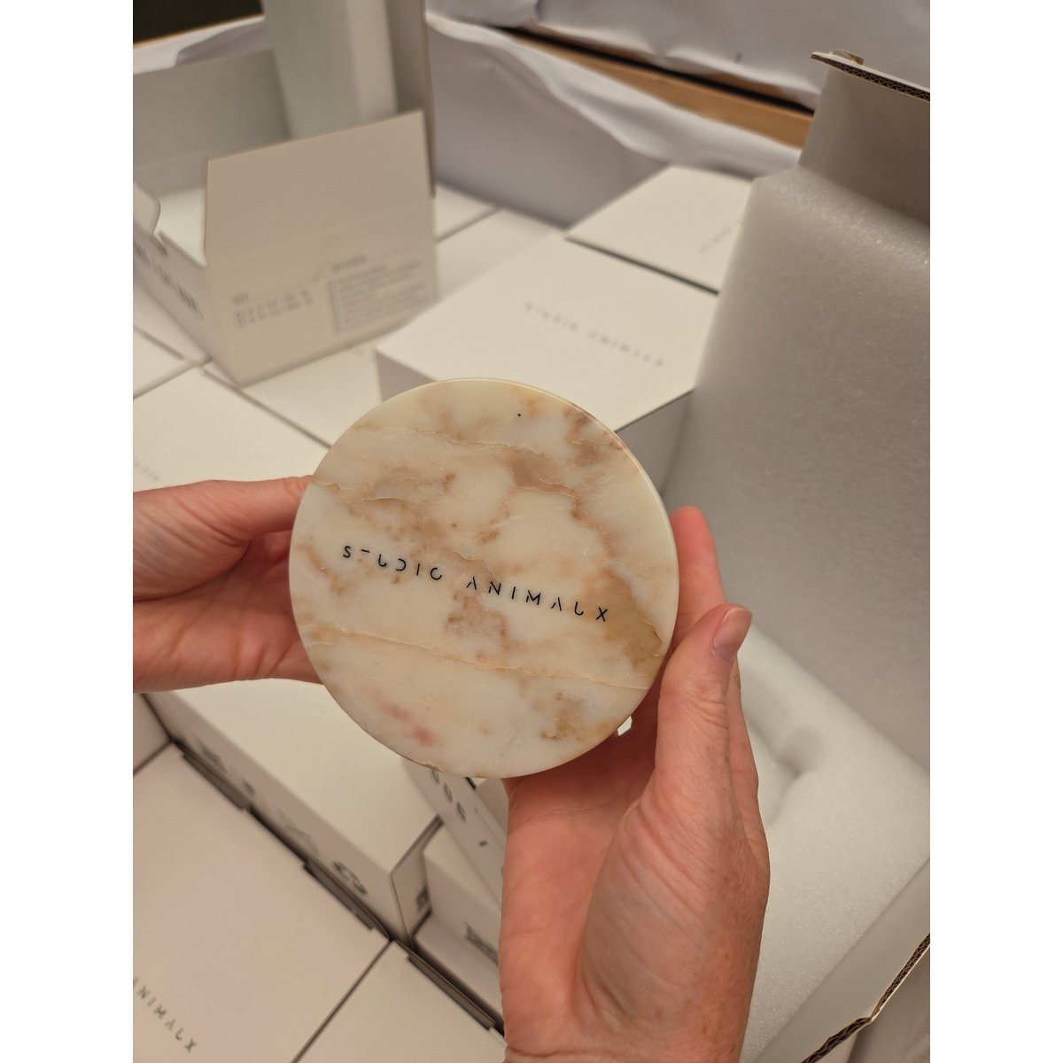 Hundenapf aus Marmor in Calacatta-Gold von Studio Animaux