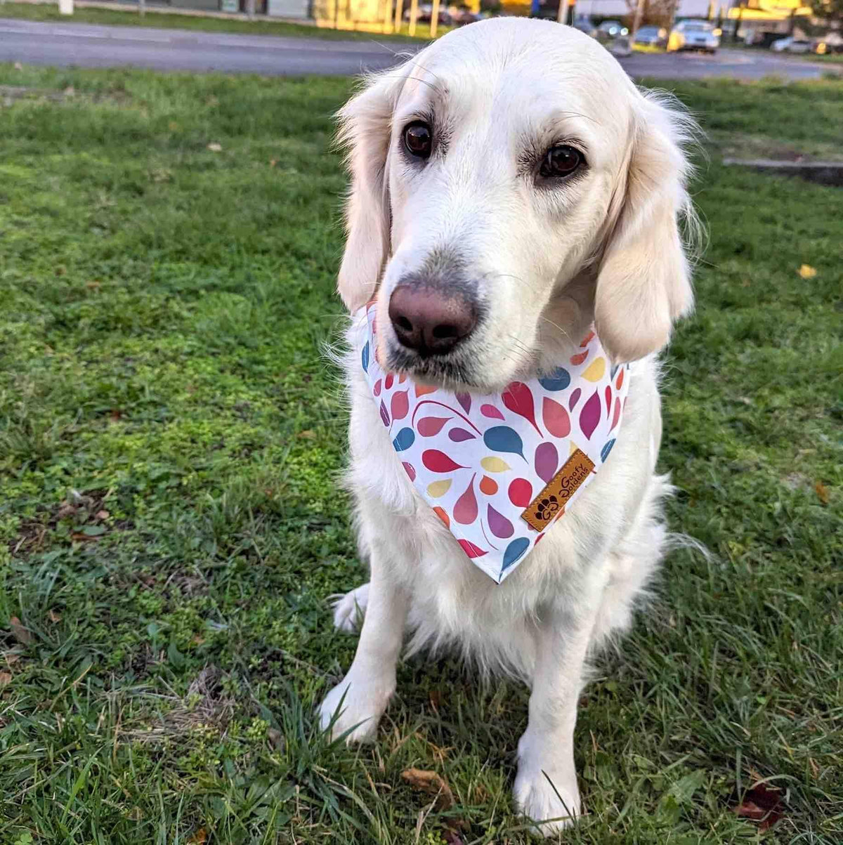 Hundebandana Blütenblätter von Goofy Goldens – Ansicht 2