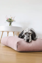 LABBVENN Hundekissen Finno Rosé