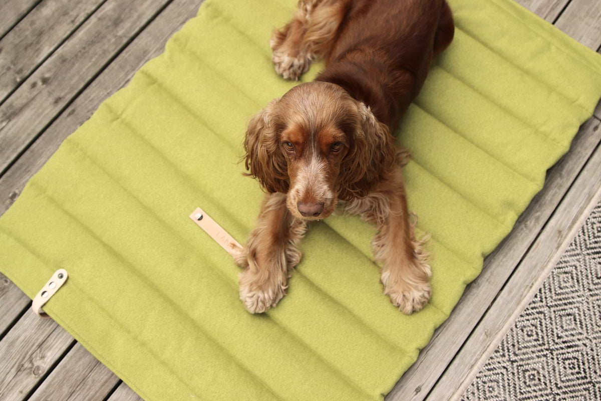 LABBVENN Fosser Hundematte Grün
