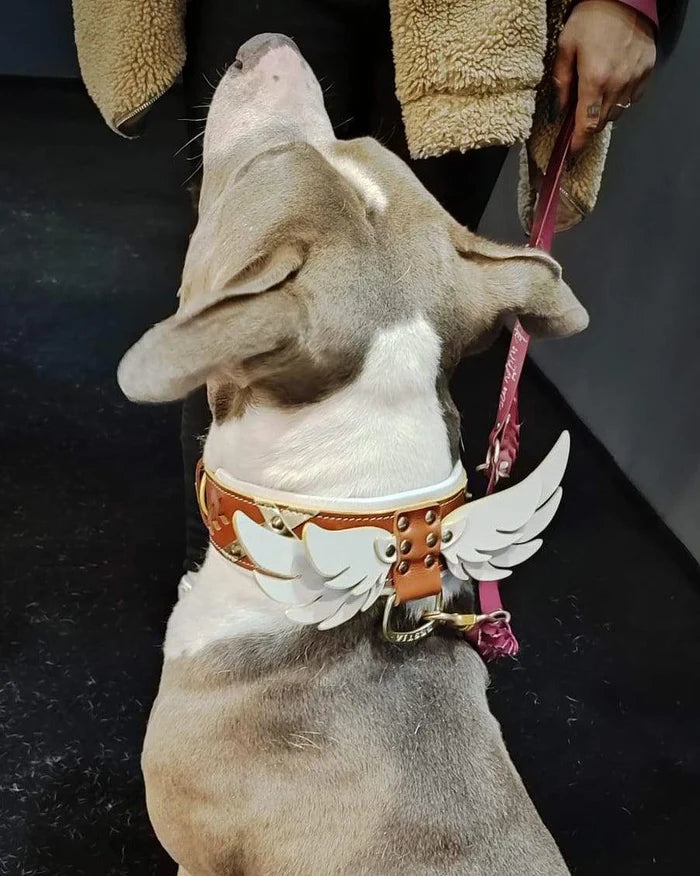 Lederhalsband Wings in Braun mit weißen Flügeln von Bestia – Ansicht 2