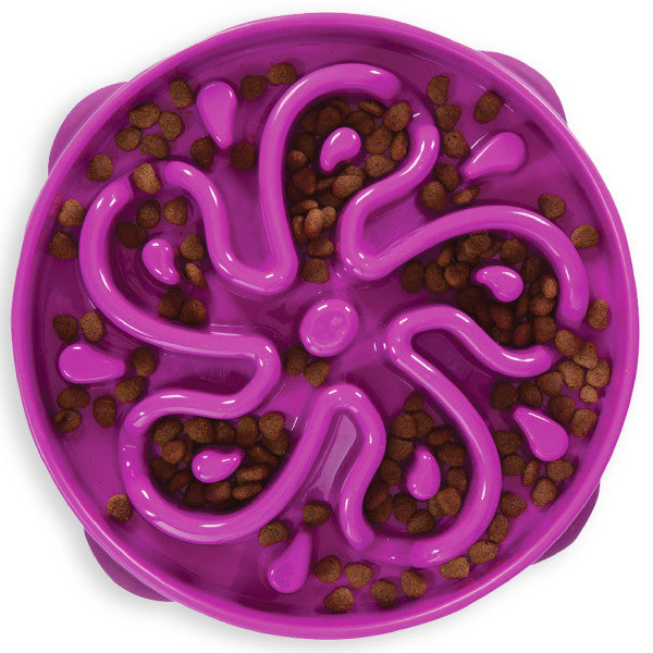 Outward Hound Fun Feeder Slo Bowl Flower Purple