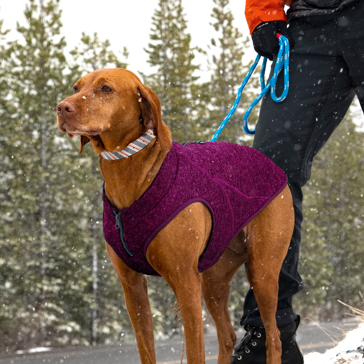 Kurgo Core Hundepullover Violett – Ansicht 3