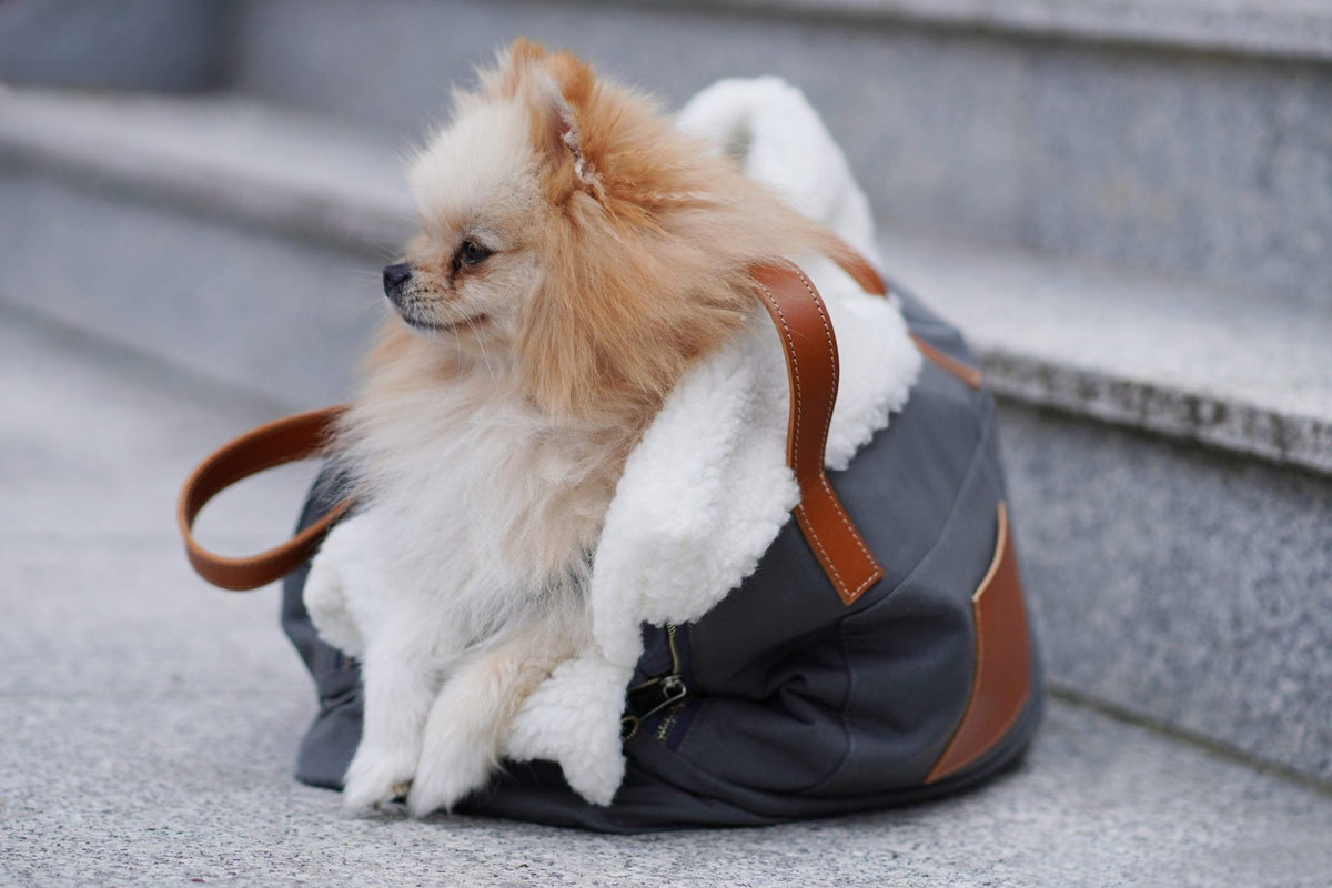 Hundetragetasche Liiva – Ansicht 3