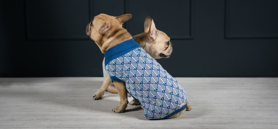 LABBVENN Strick-Hundepullover Navy