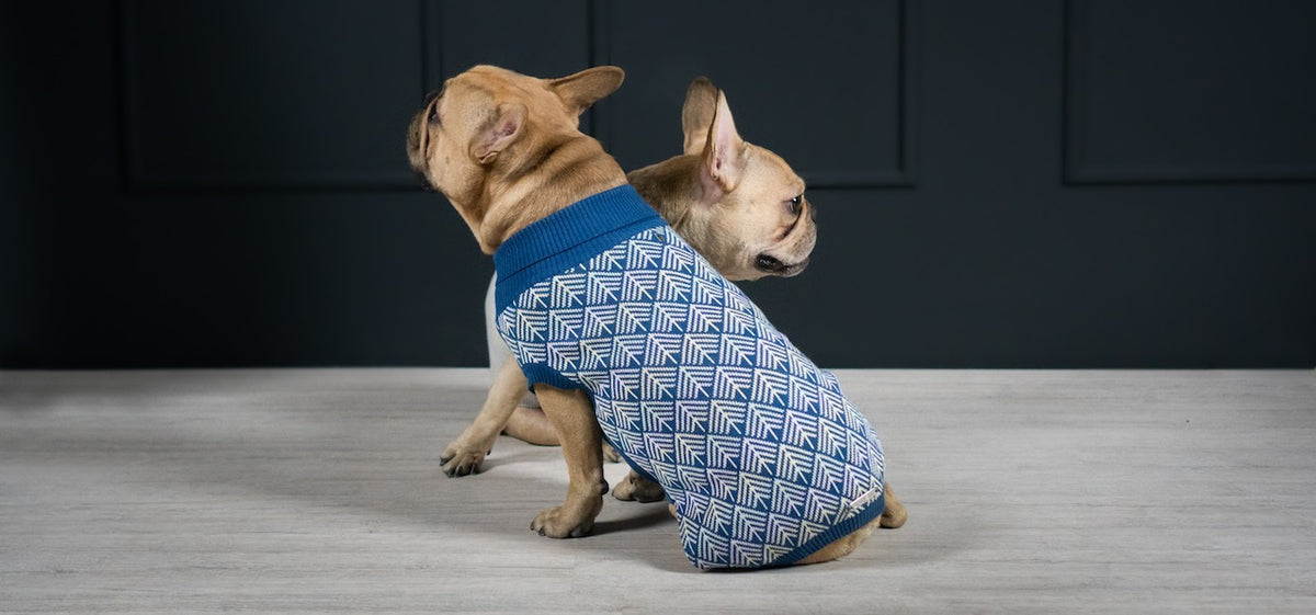 LABBVENN Strick-Hundepullover Navy