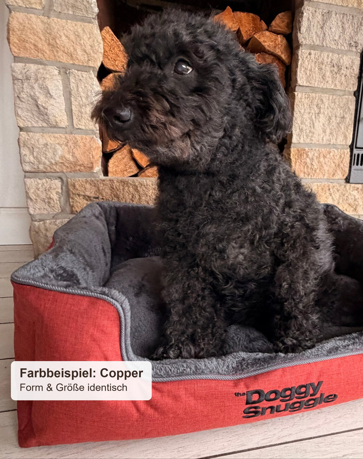 Farbbeispiel in Copper: Hündin Lucy sitzt im Doggy Snuggle Strong Hundebett mit abgesenktem Einstieg – Form und Größe wie bei dieser Farbe