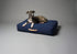 LABBVENN Hundekissen Stockholm Navy